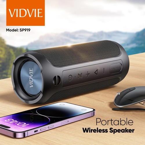 PARLANTE VIDVIE SP919